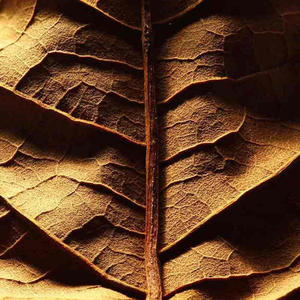 fanola 7.14 tobacco Fanola 7.14 Tobacco 100ml